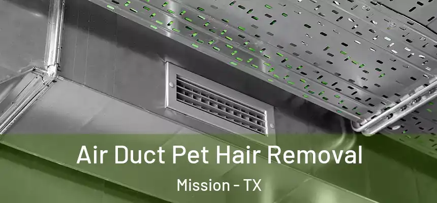 Air Duct Pet Hair Removal Mission - TX