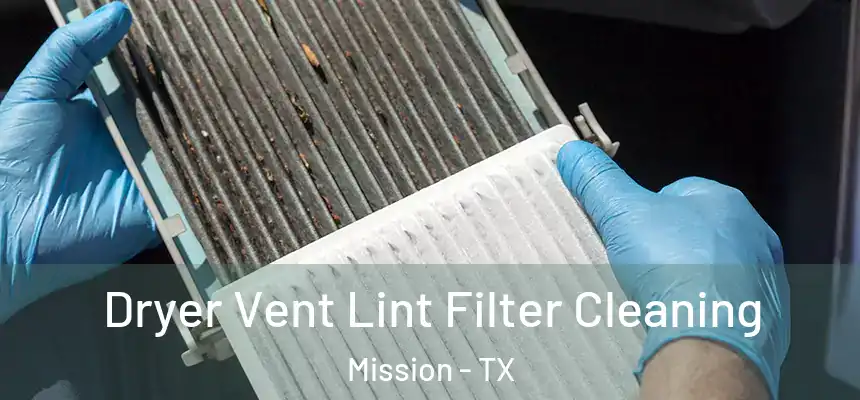  Dryer Vent Lint Filter Cleaning Mission - TX