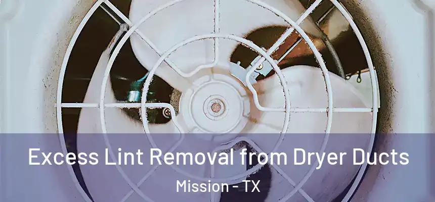 Excess Lint Removal from Dryer Ducts Mission - TX