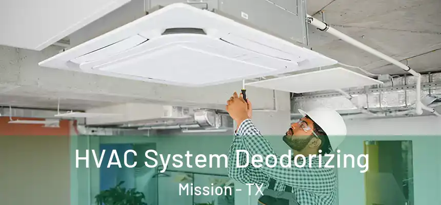 HVAC System Deodorizing Mission - TX