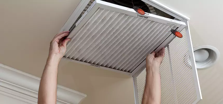 Preventive Cockroach-Proofing for Ducts in Mission