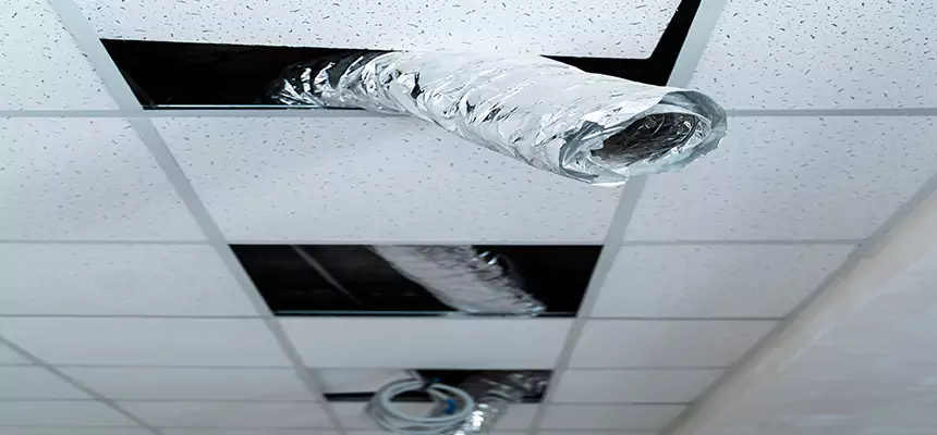 Our Air Duct Pet Hair Removal Services in Mission, TX