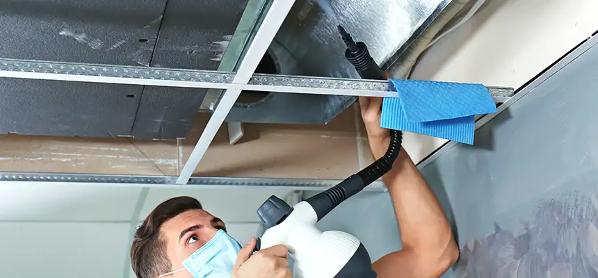 Our Air Duct Rodent Removal Services in Mission, TX