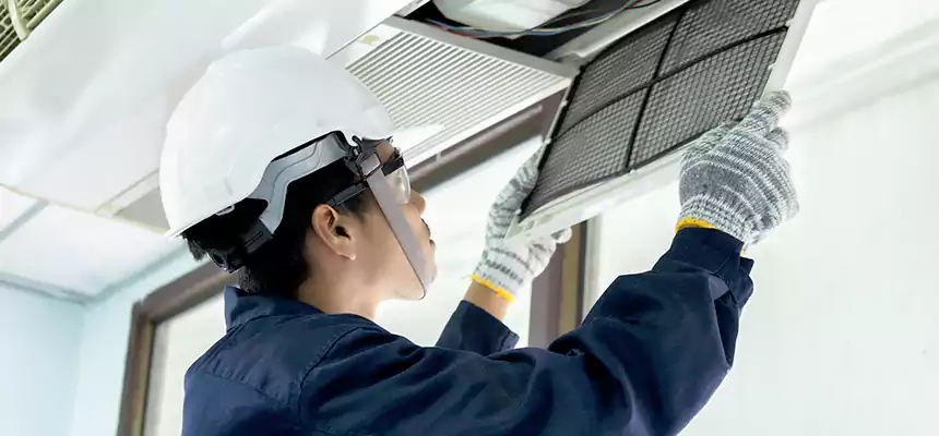 Our Mold & Mildew Removal from Air Ducts Services in Mission, TX