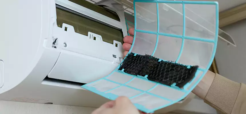 Gentle Ductwork Odor-Control Pet Dander Duct Cleaning in Mission, TX