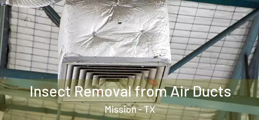 Insect Removal from Air Ducts Mission - TX