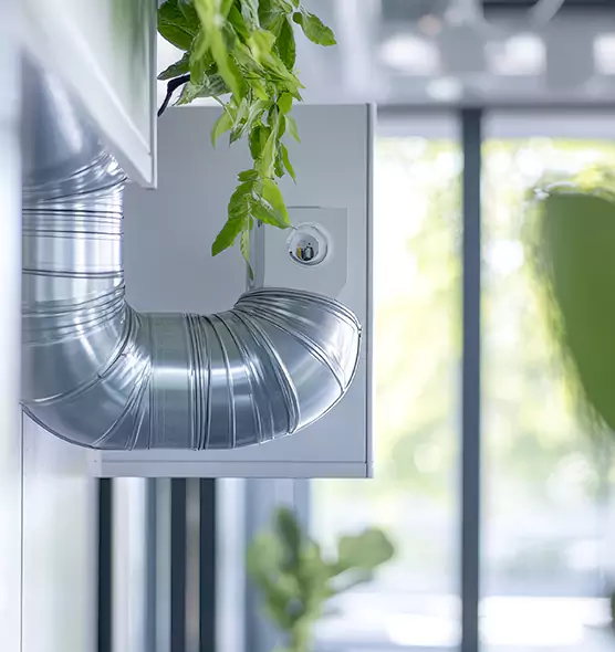 Professional Eco-Friendly Duct Cleaning Services in Mission, TX