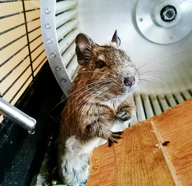 Why Homeowners & Businesses Trust Us Mission, TX