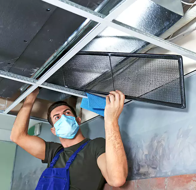 Why Homeowners Businesses Trust Us in Mission, TX